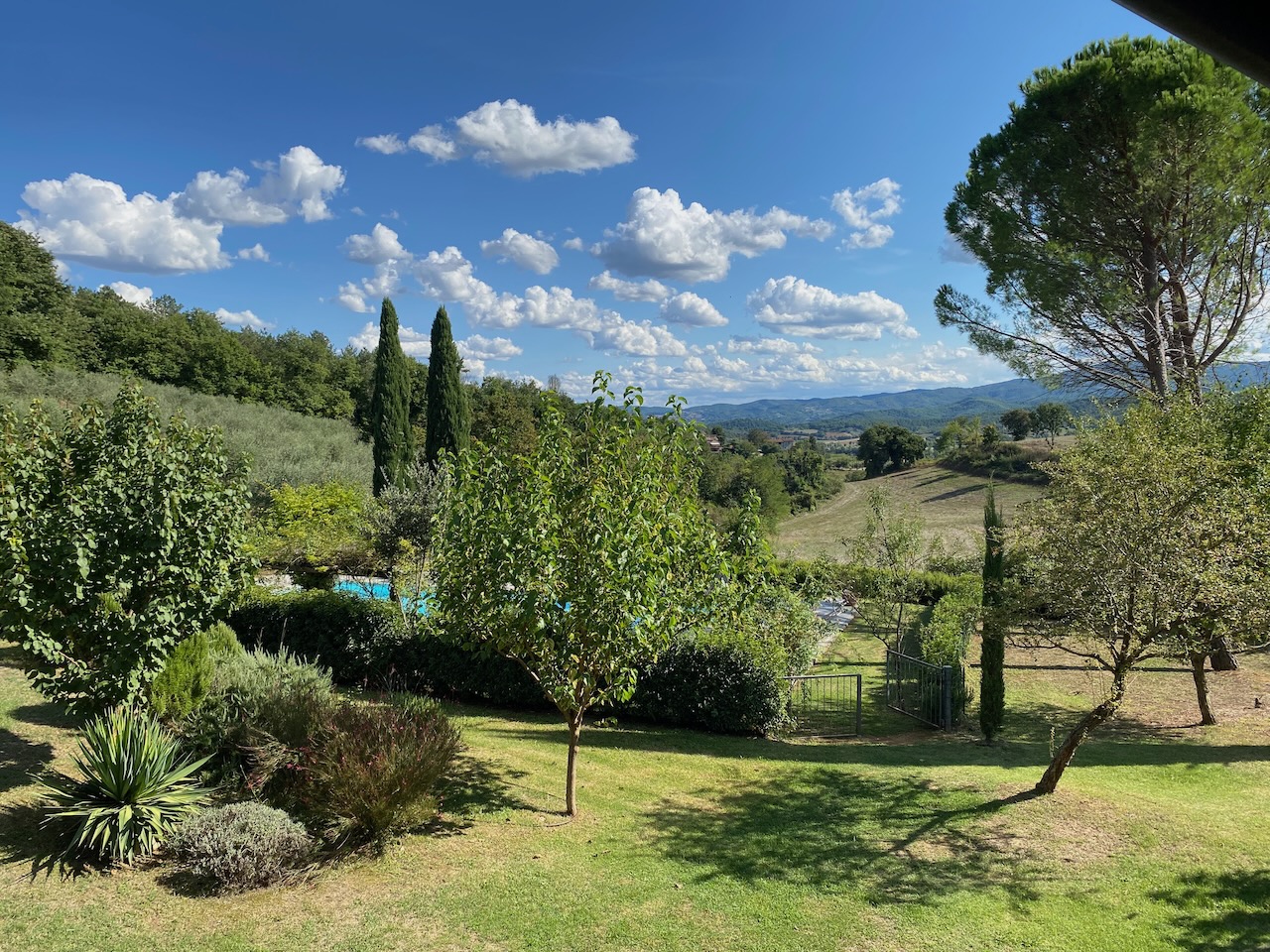 La Ceruglia Highlight